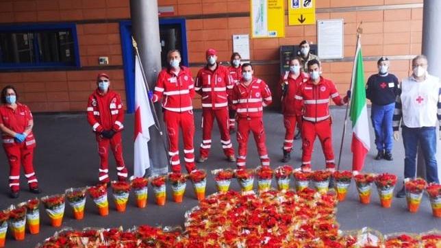 Piantine di begonia per tutto l’ospedale