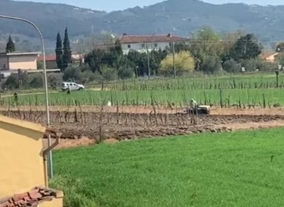 Ara il suo campo vicino a casa: arriva la municipale 