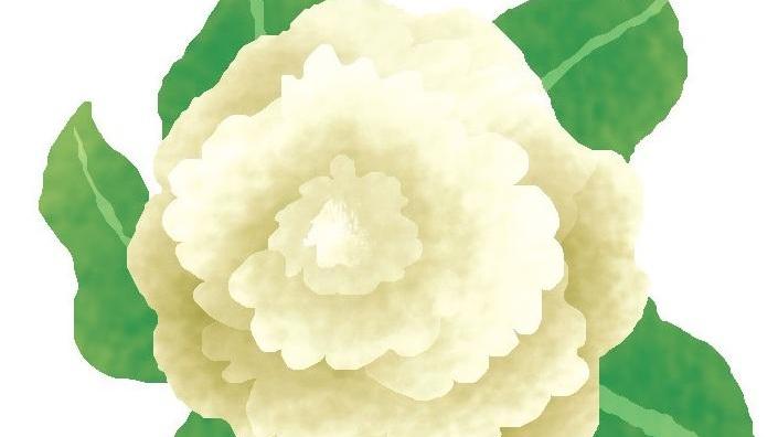 “Storie di fate” il primo dei volumi ispirati alla tradizione orale e riccamente illustrati