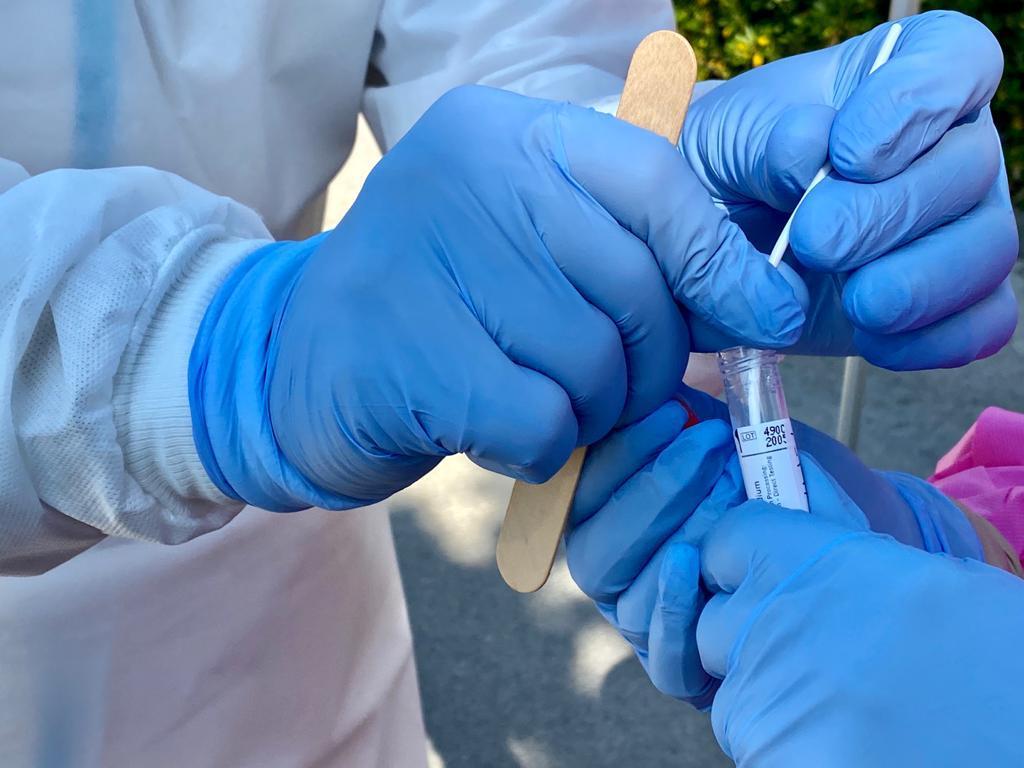 Coronavirus in Toscana: 56 nuovi positivi, 4 decessi, 77 guarigioni 