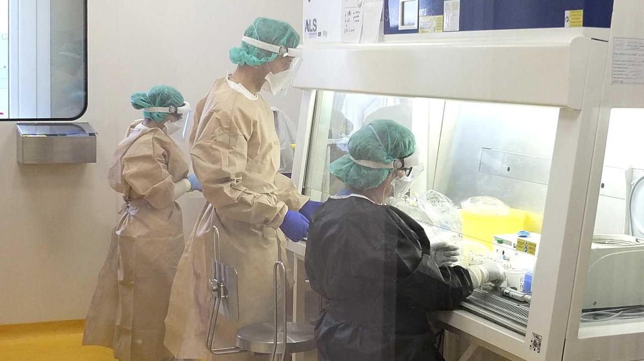 Un laboratorio di analisi in Toscana (foto Fabio Muzzi)