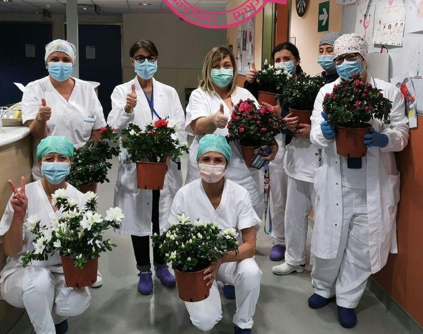 Mille azalee e tanto cioccolato: pioggia di doni al San Luca 