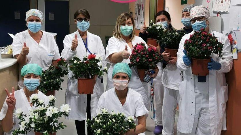 Mille azalee e tanto cioccolato: pioggia di doni al San Luca