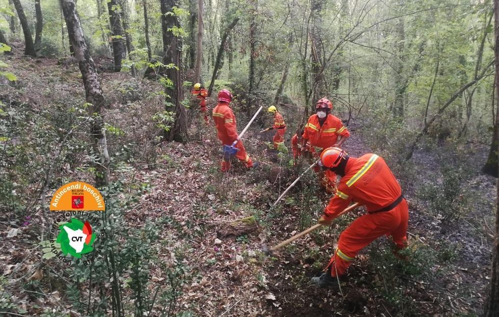 Nuovo incendio a Crasciana In fumo tre ettari di bosco
