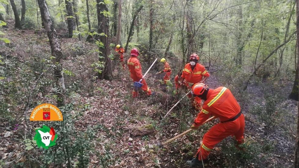 Nuovo incendio a Crasciana In fumo tre ettari di bosco