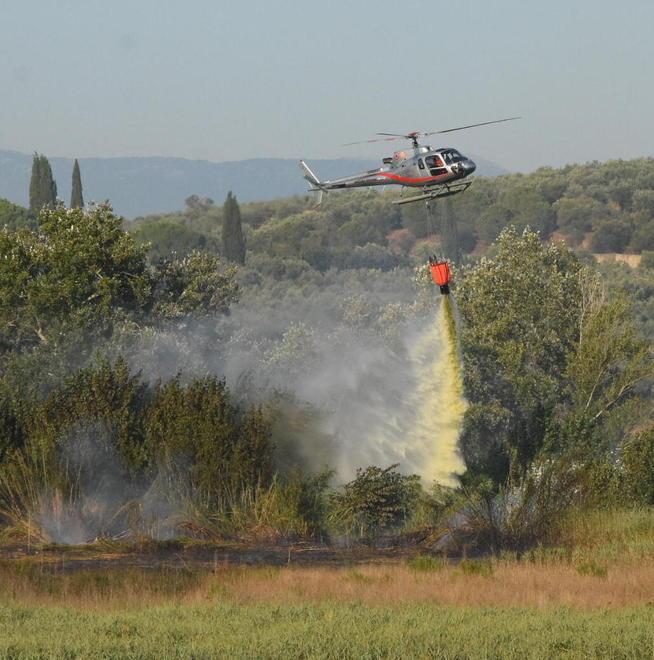Abbruciamenti vietati L’ordinanza regionale in vigore fino a domani