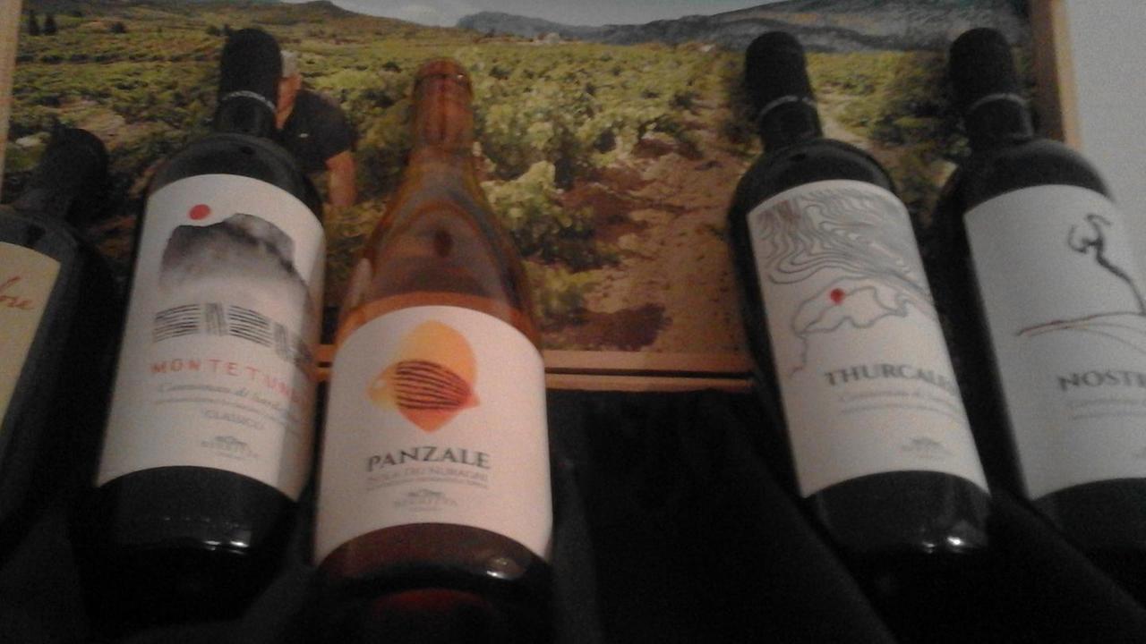 Asta di beneficenza: online i vini “Berritta”