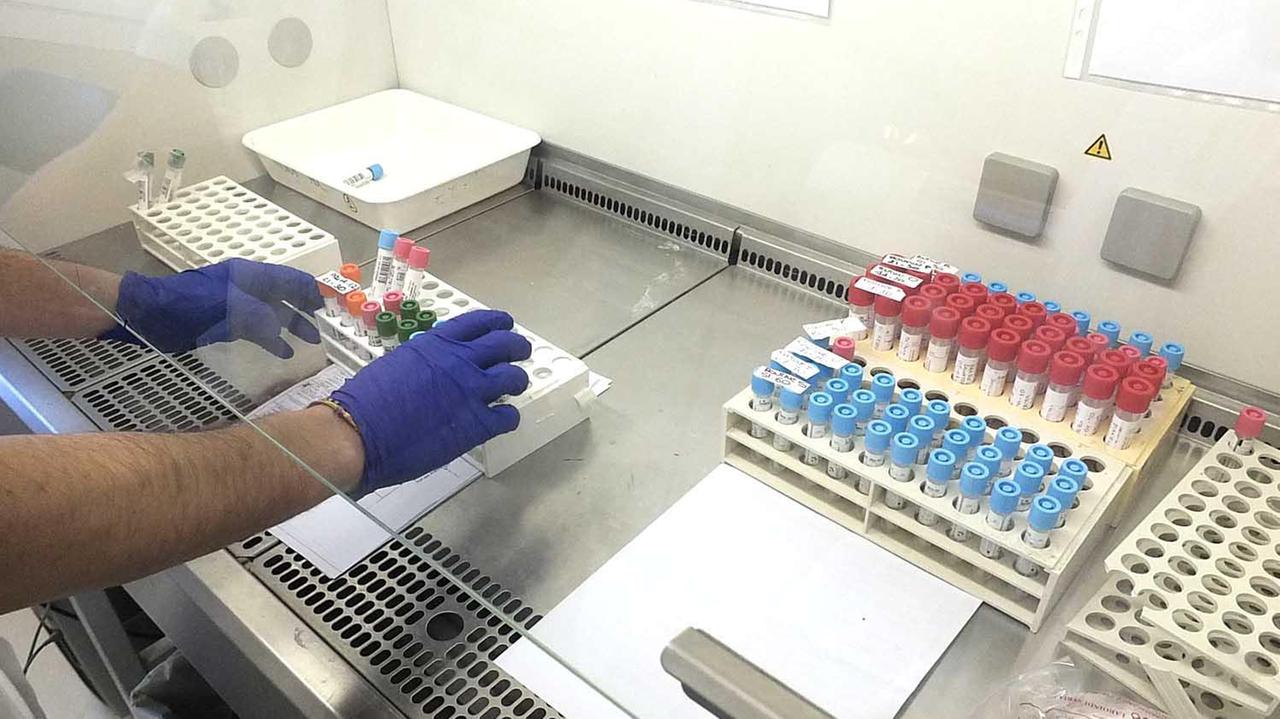 Provette usate nel laboratorio Covid-19 all’ospedale di Cisanello (foto Muzzi)