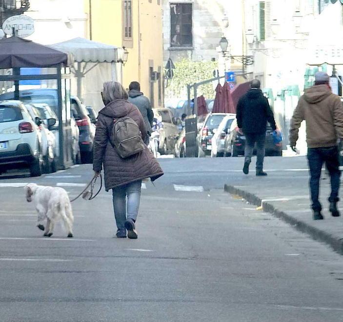 Più aumentano i contagi, più sono gli sos per gli animali 