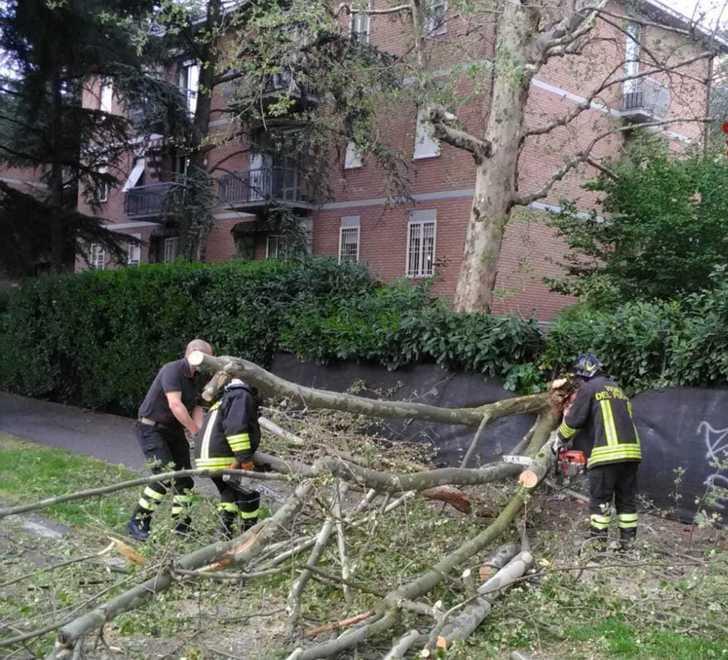Raffiche di vento a 70 orari spazzano mezza provincia 