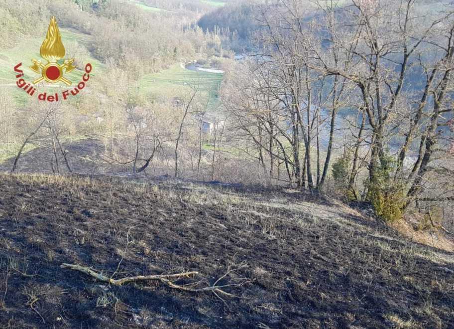 Il fuoco sfugge, incendiati ettari di bosco 