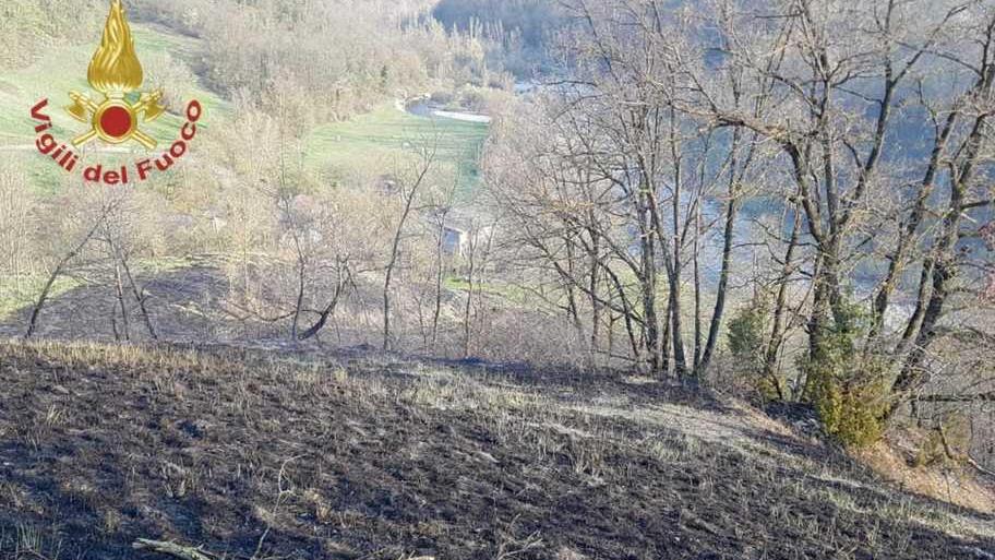 Il fuoco sfugge, incendiati ettari di bosco