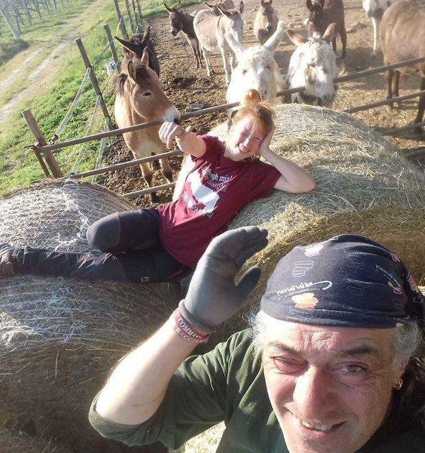 Gara di solidarietà anche per gli asini fermati dal Coronavirus 