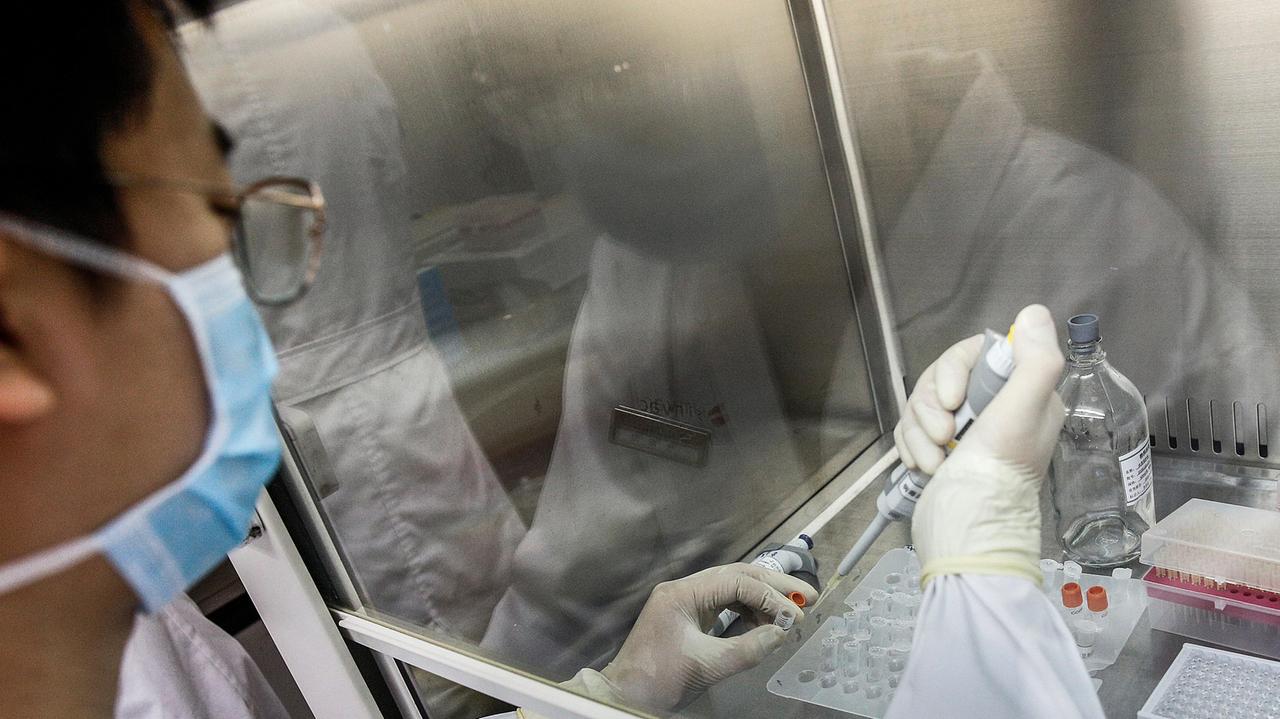 Donne più resistenti al Covid degli uomini: l'Ars ne illustra i motivi