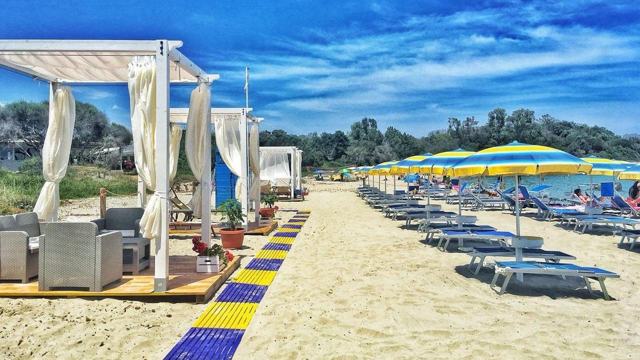 «No ai gabbiotti in plexiglass nel lido»