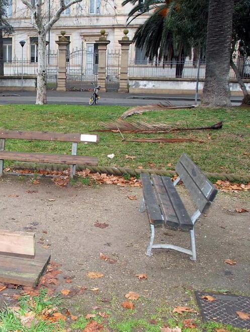Un anno di lavori per 2,7 milioni da piazza Dante al canile sanitario 