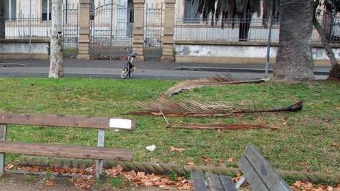 Un anno di lavori per 2,7 milioni da piazza Dante al canile sanitario