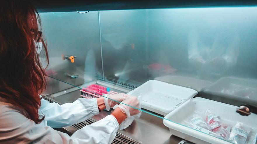 Test sierologici, tante richieste nei laboratori privati di analisi