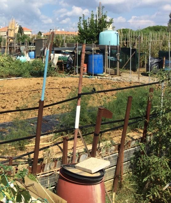 Concesso uscire di casa per curare gli orti