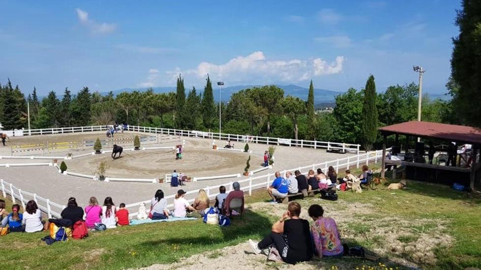 Pomarance, il centro ippico rischia di chiudere: «Fateci riaprire a maggio»