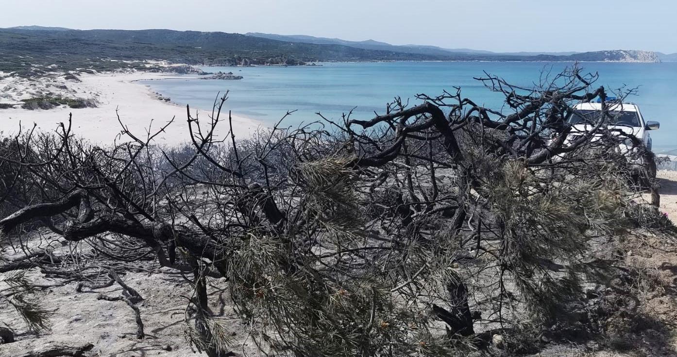 Bruciata la casetta estiva di un forestale in pensione 