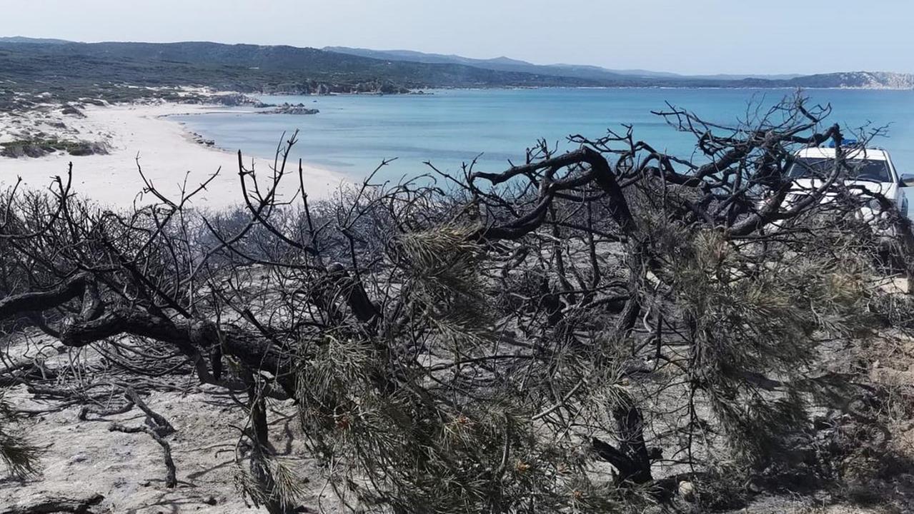 Bruciata la casetta estiva di un forestale in pensione