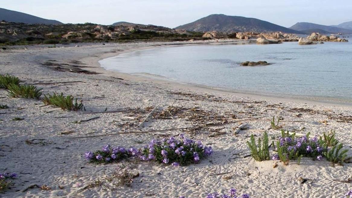 La salvezza dell’Asinara è il turismo sostenibile 