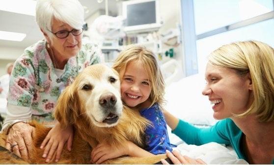 Animali domestici ai tempi del Coronavirus, quali sono le regole da seguire?