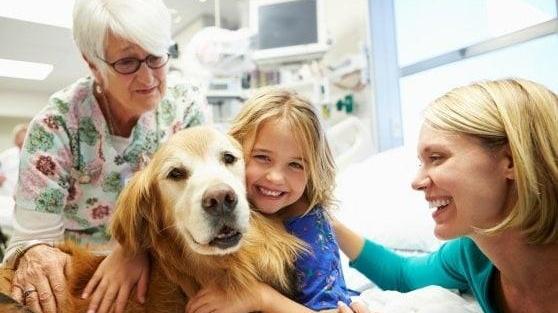 Animali domestici ai tempi del Coronavirus, quali sono le regole da seguire?