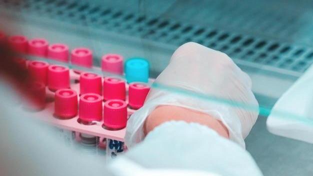 Coronavirus, il sindaco di Cecina: «La volontà è sottoporre tutti a tampone. Li stiamo comprando insieme ai test»