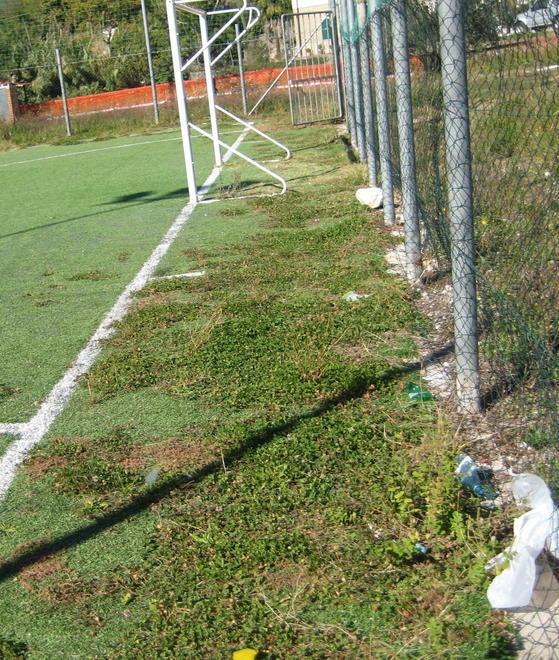 «Valdicastello è una frazione dimenticata»