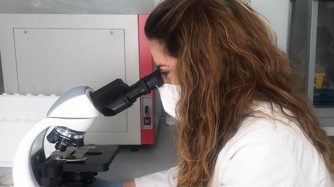 Centro BioConsult: via libera ai test Ecco chi potrà sottoporsi a screening per escludere il contagio