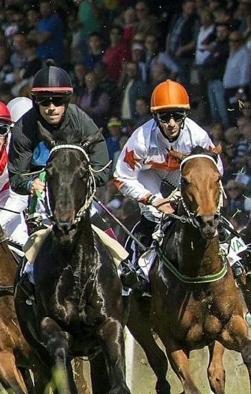 L’ippodromo di Chilivani ai blocchi di partenza 