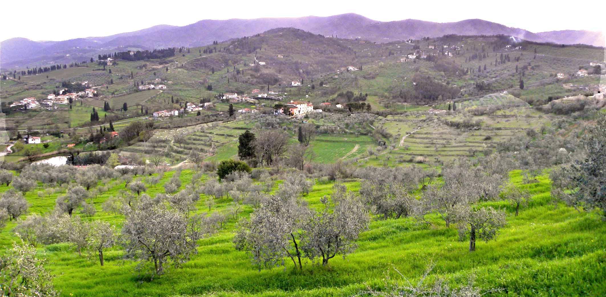 Si può uscire per coltivare l'orto ma non si può dormire nella seconda casa