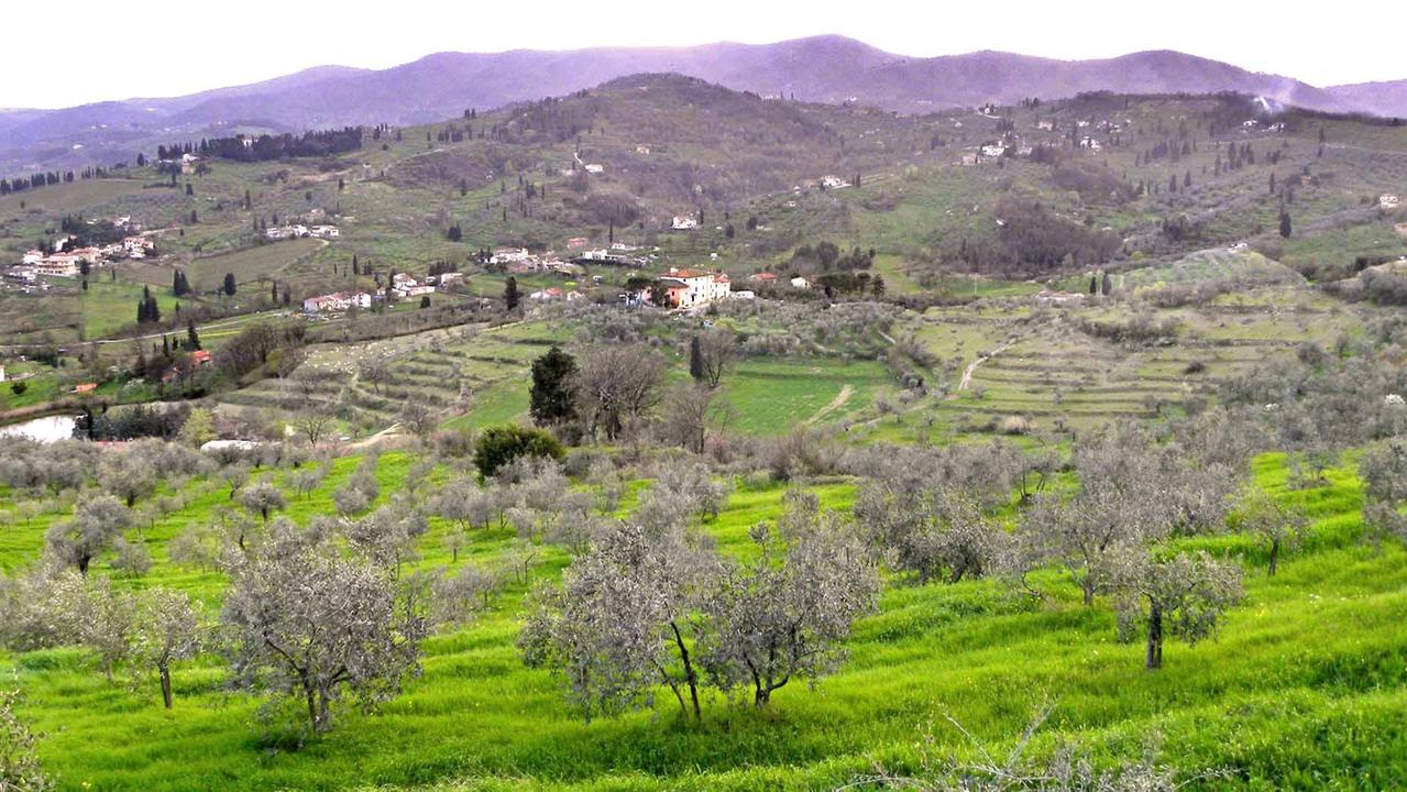 Si può uscire per coltivare l'orto ma non si può dormire nella seconda casa