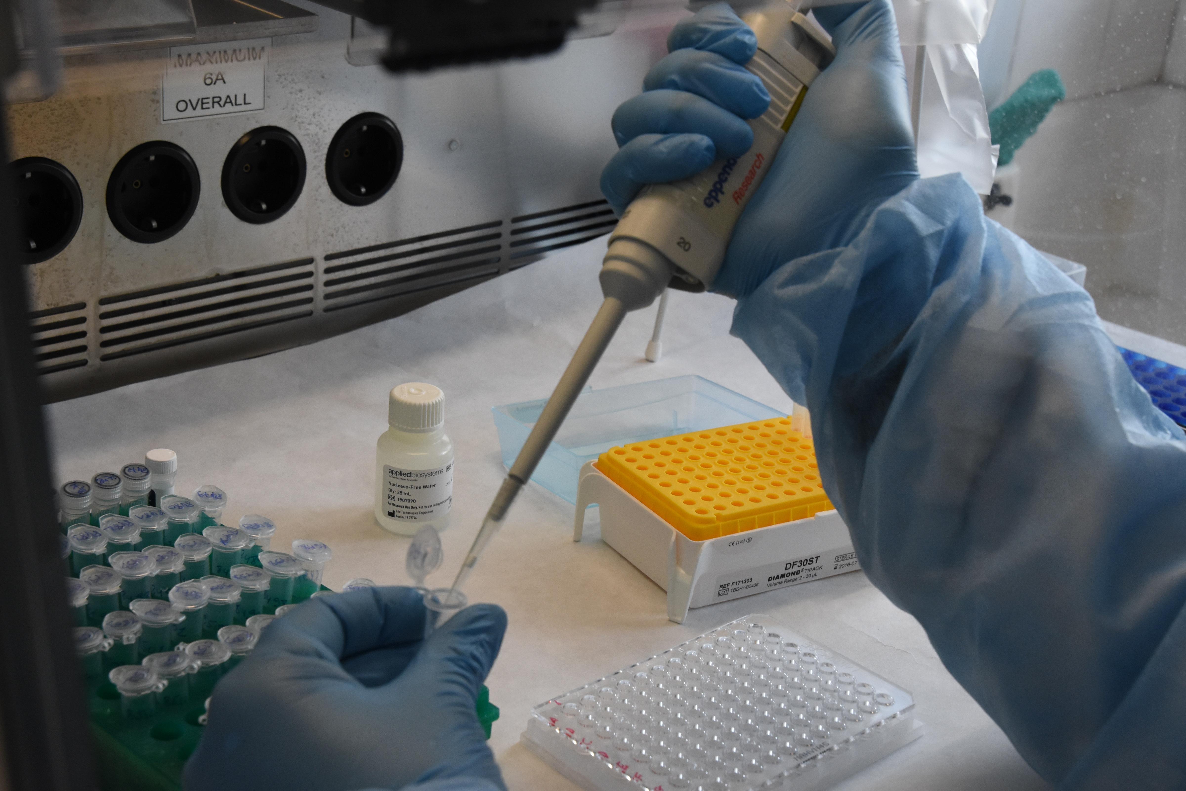 Sierologici, la Regione li farà gratis a tutti i lavoratori a contatto col pubblico 