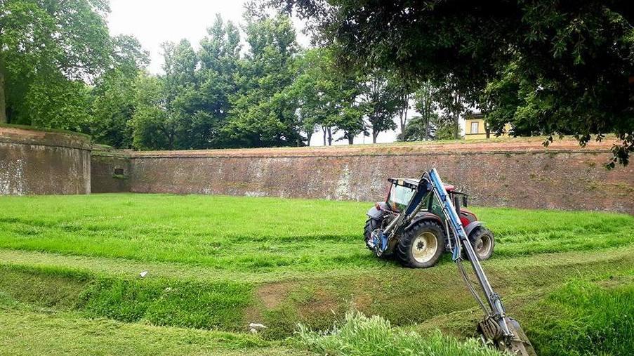 Da lunedì riparte il taglio dell’erba sulle Mura e sugli spalti
