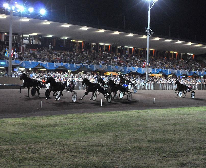 Una corsa in notturna all’ippodromo Sesana a Montecatini (foto d’archivio)