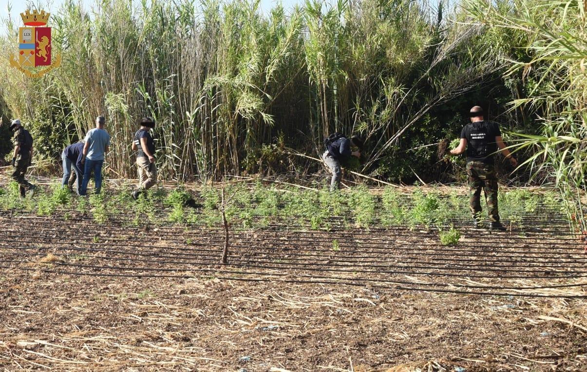 Oristano, smantellata banda di spacciatori 