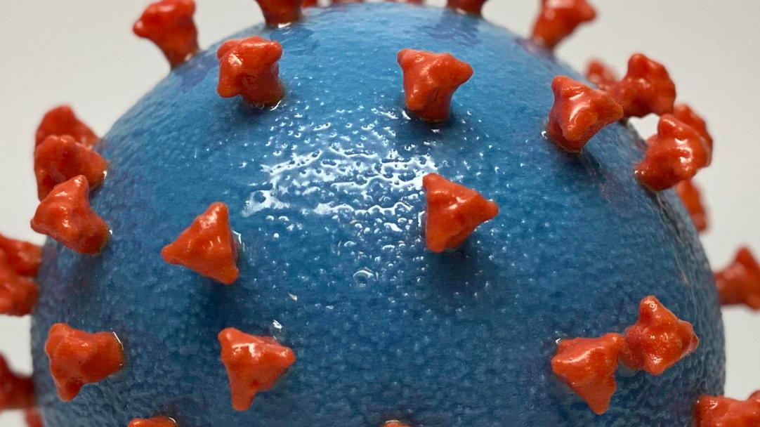 Cosa abbiamo imparato sul virus
