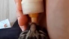 C’è un gattino da adottare