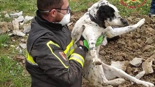 Genny appena estratto dalla tubazione dai vigili del fuoco