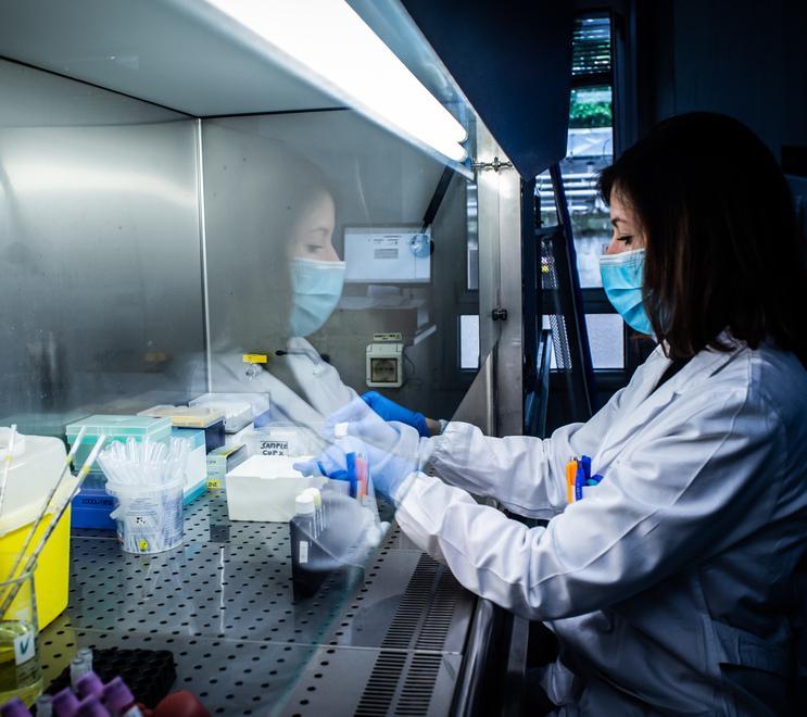 Altri otto si lasciano il virus alle spalle 
