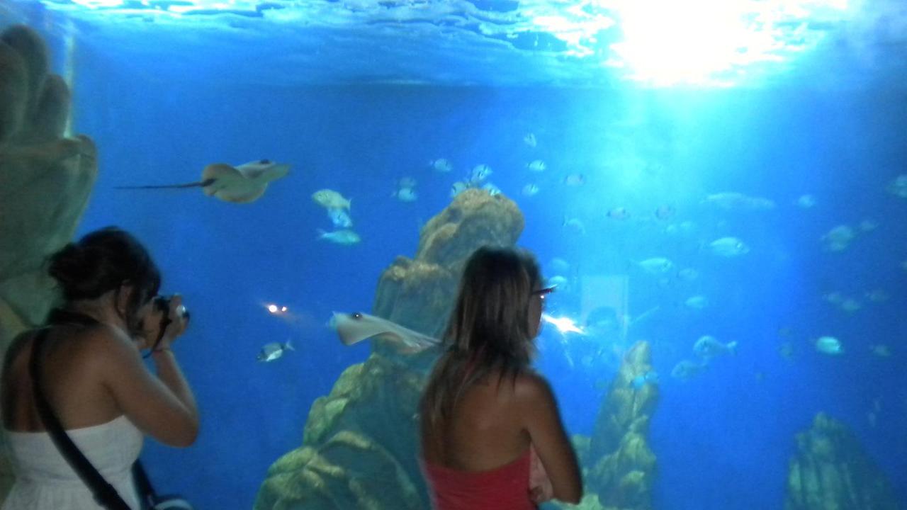 L’acquario di Gonone è chiuso, mancati incassi per 150mila euro
