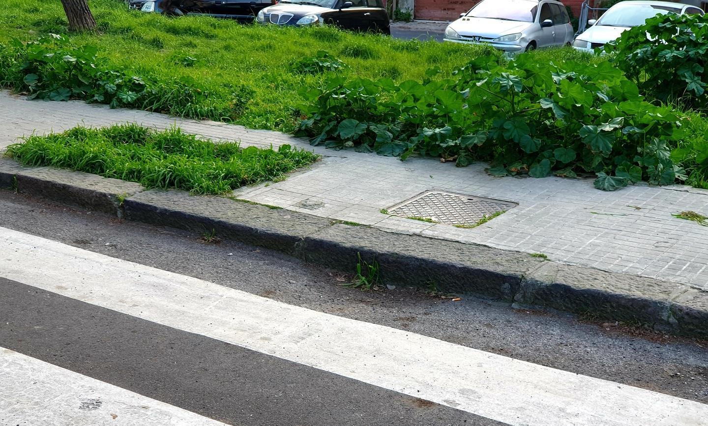 Canali e scarichi coperti da erbacce