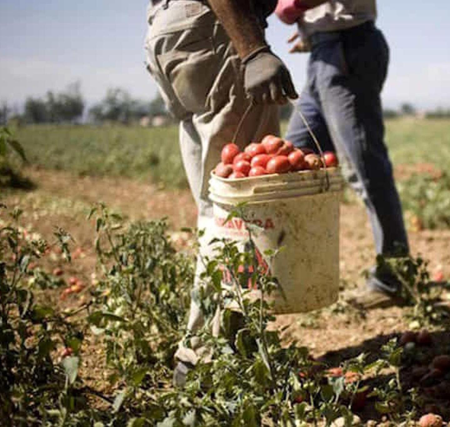 «Stranieri in prima linea ma con pochi diritti» 