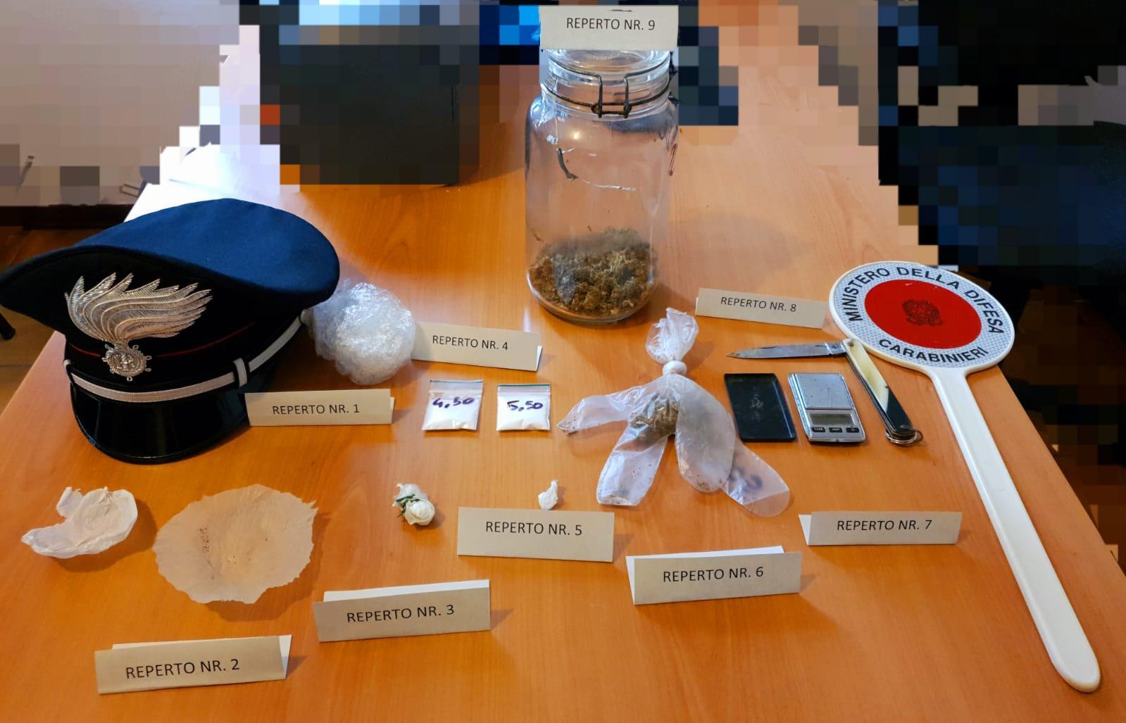Giardiniere con in casa il market della droga