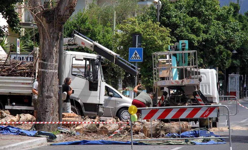Taglio alberi e nuovo asfalto Ripartono i cantieri sospesi 