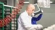 Più soldi alle Pmi