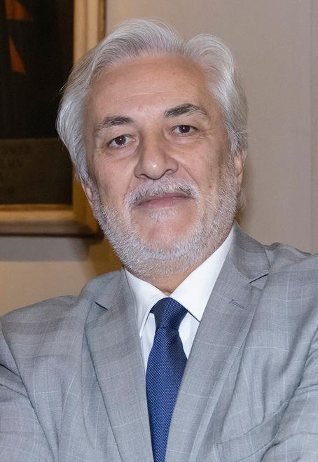 Alveare mette casa in piazzale S. Domenico